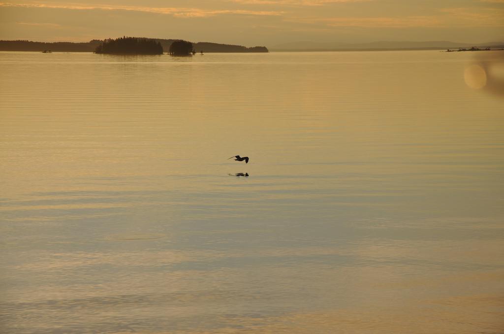 Moose Garden Vila Orrviken Quarto foto