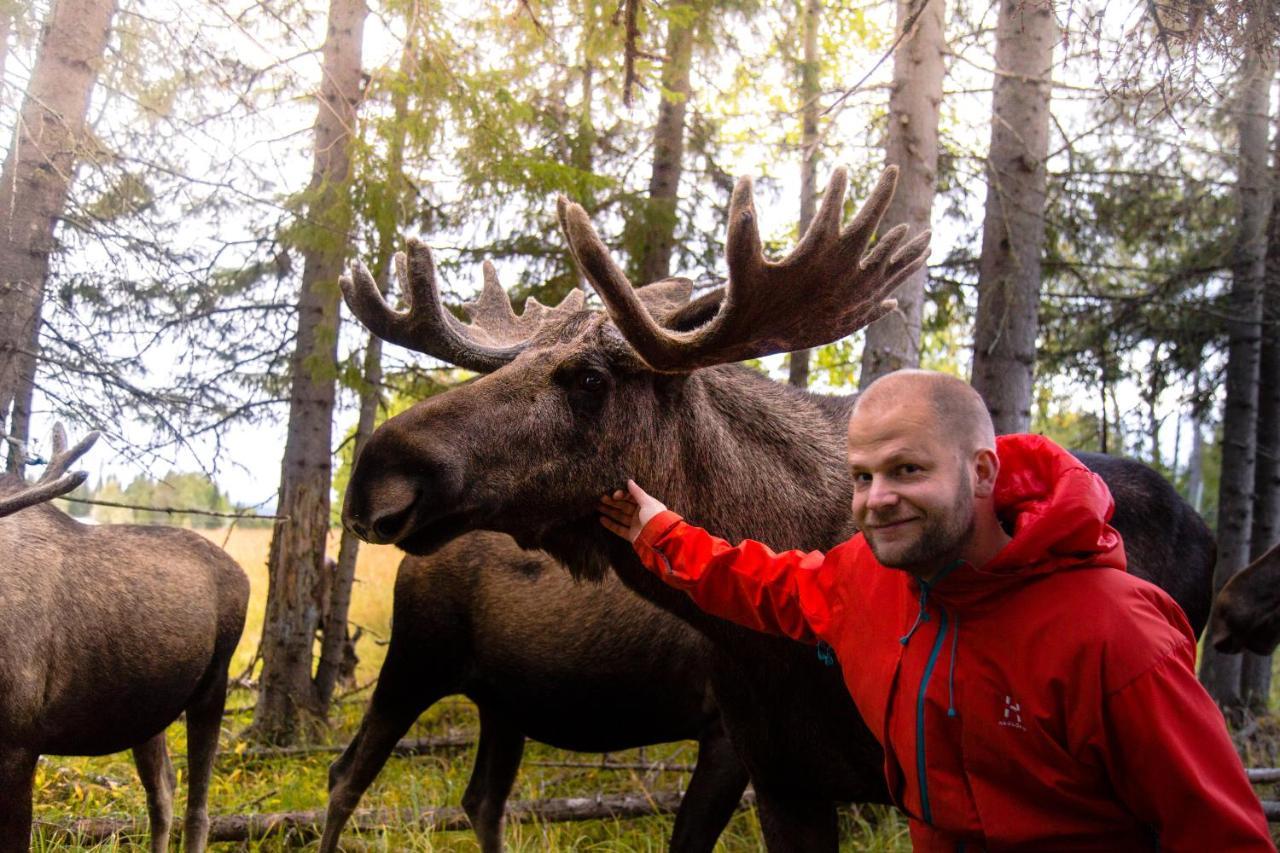 Moose Garden Vila Orrviken Exterior foto