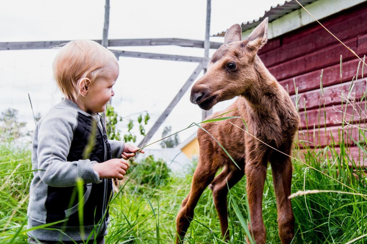 Moose Garden Vila Orrviken Exterior foto
